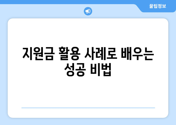 개인사업자를 위한 정부지원금 활용 방법 | 지원금, 창업, 재정 지원, 소상공인