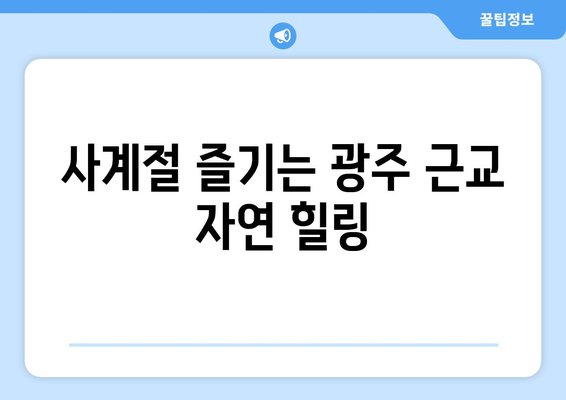 광주 근교 강변 산책로 추천 5곳 | 산책, 자연, 건강한 라이프스타일"
