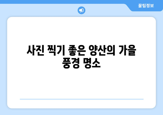 양산 근교 가을 명소 10곳 추천! | 가을 여행, 명소 탐방, 풍경 사진"