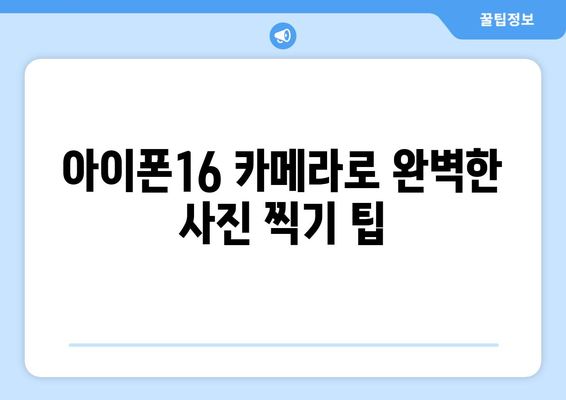 아이폰16 카메라 성능 분석| Photonic Engine의 혁신과 촬영 팁 | 아이폰16, 카메라, 사진 촬영