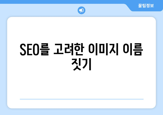 워드프레스 미디어 라이브러리 활용| 사진 최적화와 관리 팁 | 워드프레스, 미디어 관리, 웹사이트 개선