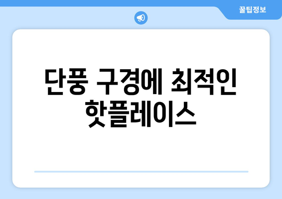 가을 나들이 추천 명소 10곳 | 자연, 여행, 가을 풍경, 가족 나들이