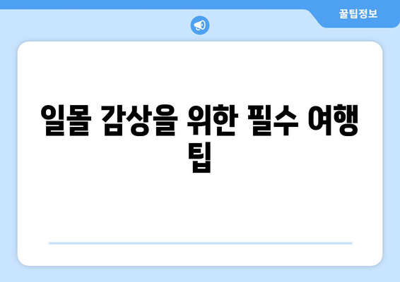 부산 근교 일몰 명소 10곳 추천! 완벽한 일몰 감상 가이드 | 부산, 일몰, 여행 팁