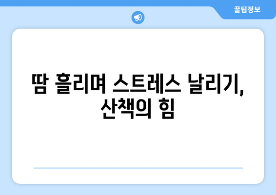 광주 근교 강변 산책로 추천 5곳 | 산책, 자연, 건강한 라이프스타일"