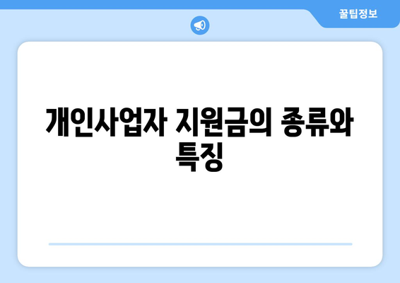 개인사업자 정부지원금 신청방법 완벽 가이드 | 개인사업자, 지원금, 신청 절차