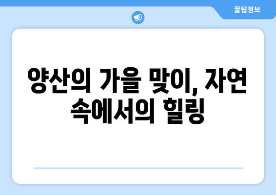 양산 근교 가을 명소 10곳 추천! | 가을 여행, 명소 탐방, 풍경 사진"
