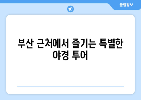 부산 근교 야경 명소 10곳 추천 가이드 | 부산, 야경, 관광 명소, 주말 여행