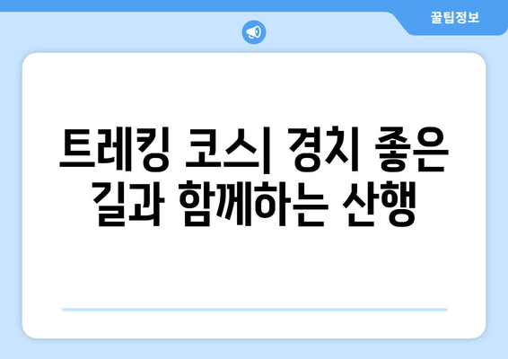 창원 근교 야외 활동 명소 베스트 10 | 캠핑, 트레킹, 자연 탐방