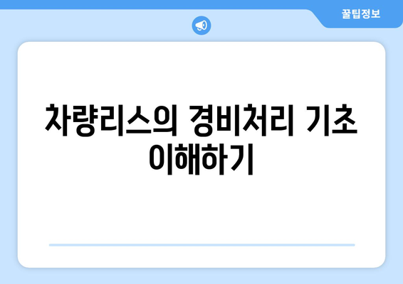 개인사업자를 위한 차량리스 경비처리 방법과 팁 | 경비처리, 세금 절감, 개인사업자 혜택