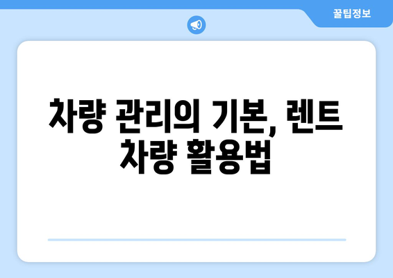 개인사업자를 위한 자동차 렌트 활용법 | 개인사업자, 차량 관리, 비용 절감