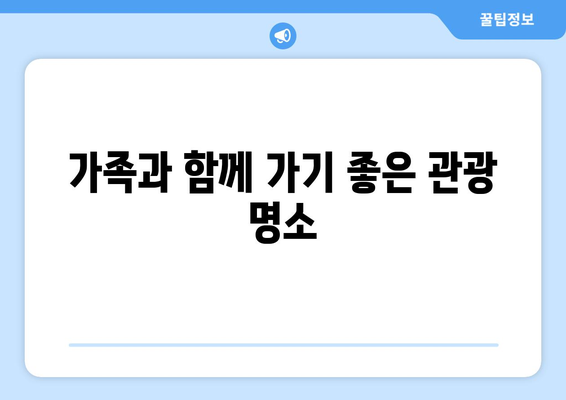남양주 황화코스모스 촬영 장소 베스트 5 추천 | 사진 촬영, 관광 명소, 가을 꽃 구경