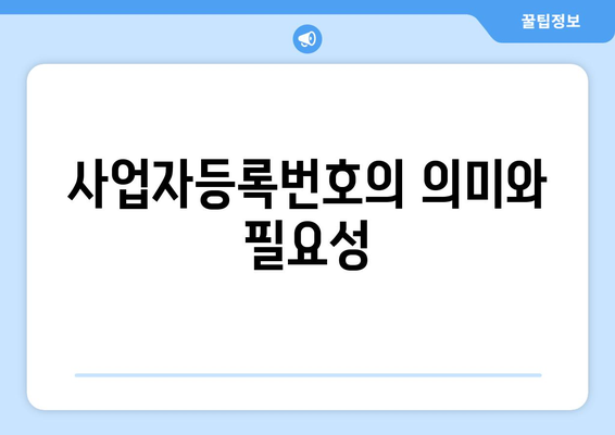 사업자등록번호, 개인과 법인 분류의 모든 것 | 사업자등록, 세무, 사업 운영 팁