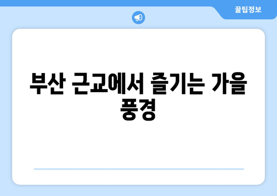 부산 근교 힐링 가을 나들이| 완벽한 가을 여행 코스 추천 | 부산, 힐링, 가을 나들이