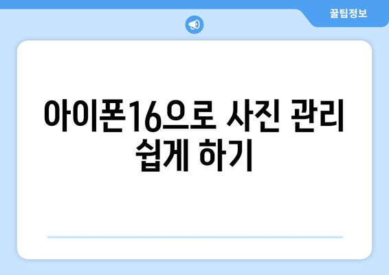 아이폰16 앨범 완벽 활용하기| 사진 정리 팁과 숨겨진 기능들 | 아이폰16, 사진 관리, 꿀팁