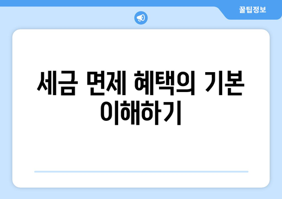 세금 면제 혜택을 최대한 활용하는 방법 | 세금 절감, 재정 관리, 정책 안내