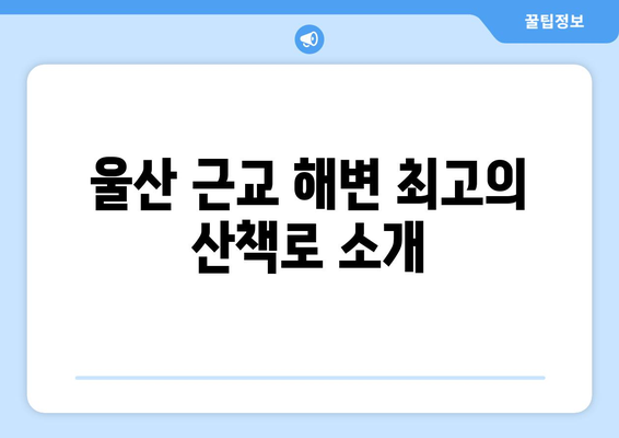 울산 근교 해변 산책로 10곳 추천 가이드 | 해변, 산책, 자연 경관"
