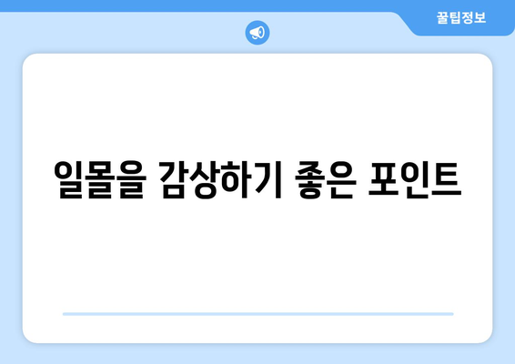 울산 근교 바다 풍경 스팟 10곳 추천 가이드 | 여행, 자연, 풍경"