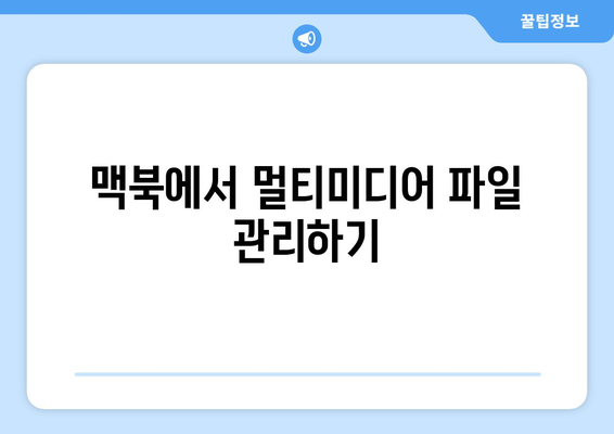 맥북 멀티미디어 관리의 모든 것| 효율적인 방법과 필수 팁 | 맥북, 미디어 관리, 멀티미디어 활용법