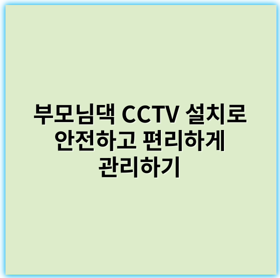 부모님댁 CCTV 설치로 안전하고 편리하게 관리하기 - 가장 중요한 핵심 키워드: **보안**