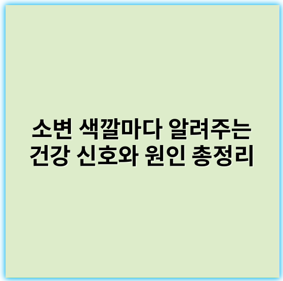 소변 색깔마다 알려주는 건강 신호와 원인 총정리 - 핵심 키워드: 색깔변화