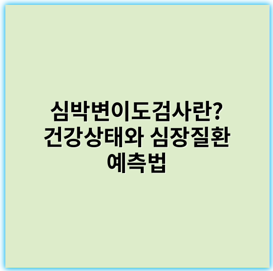 심박변이도검사란? 건강상태와 심장질환 예측법 - 심박변이도검사에서 가장 중요한 핵심 키워드: **자율신경계**