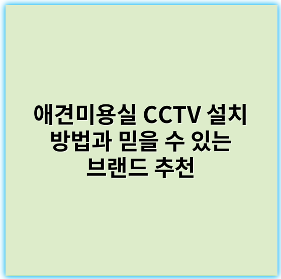 애견미용실 CCTV 설치 방법과 믿을 수 있는 브랜드 추천 - 안전