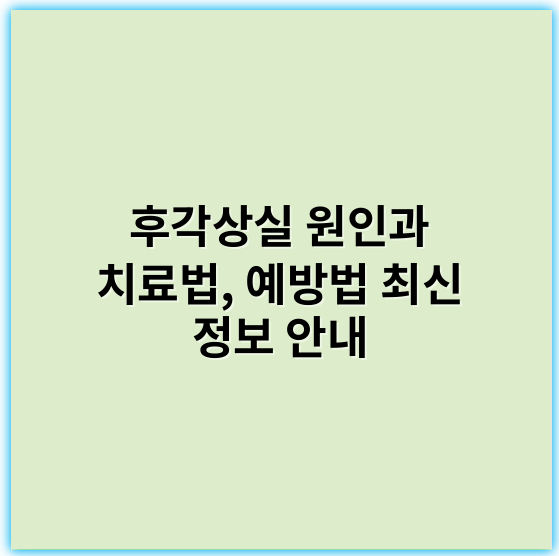 후각상실 원인과 치료법, 예방법 최신 정보 안내 - 후각상실 핵심 키워드: 후각회복
