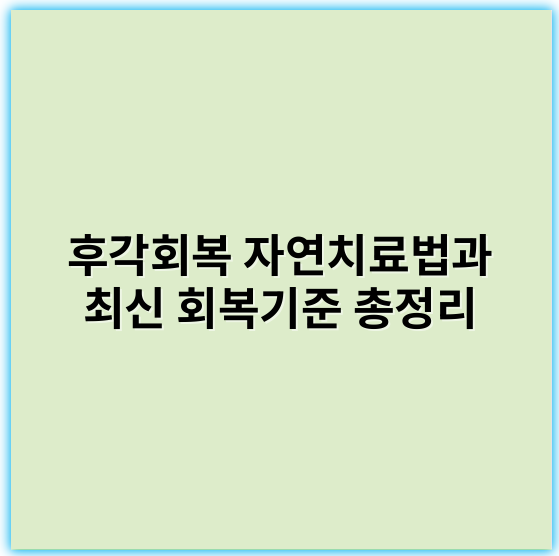 후각회복 자연치료법과 최신 회복기준 총정리 - 후각회복에서 가장 중요한 핵심 키워드는 **신경재생**입니다.